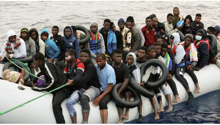 article immigracio