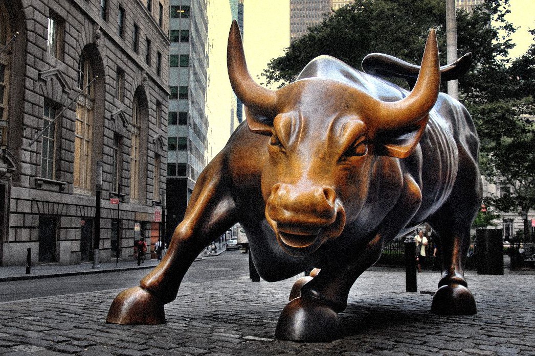 bull_Image_Sam_valadi_Flickr